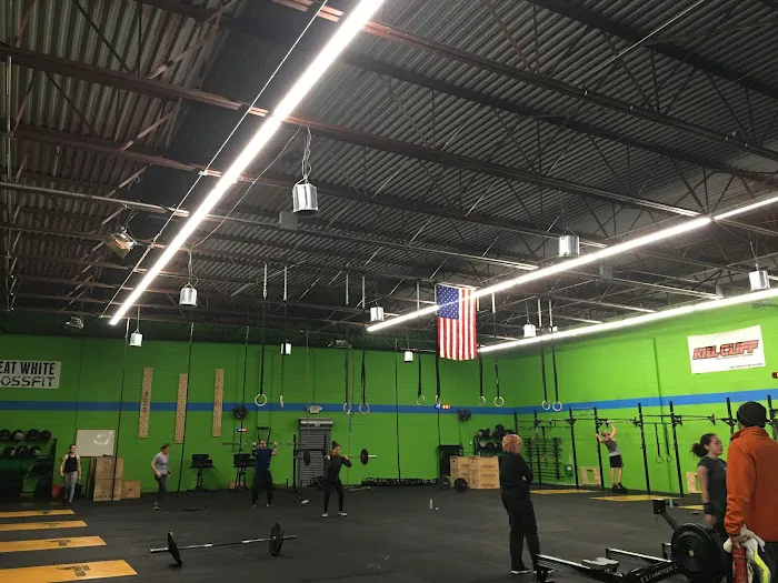 Great White Conditioning & Fitness Picture 5