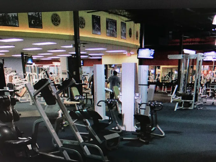 Gold's Gym Picture 7