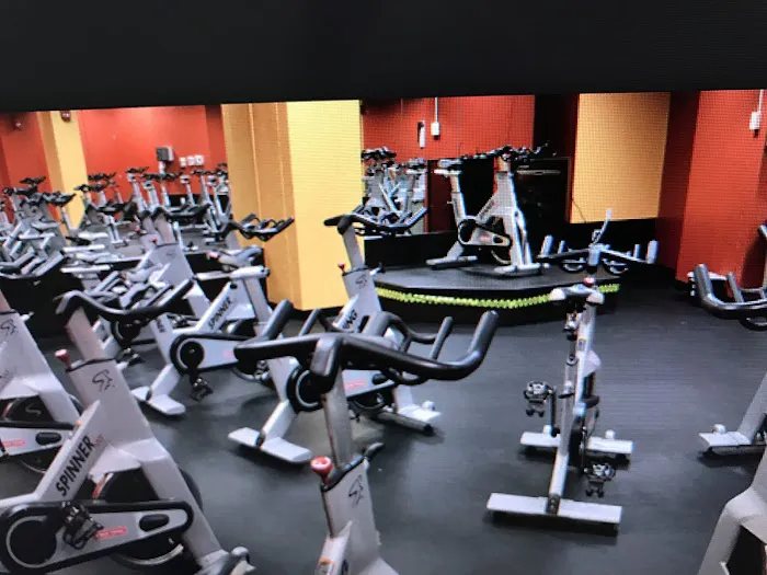 Gold's Gym Picture 5