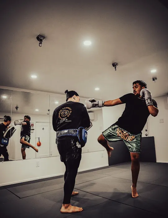 Panda Thai Boxing (Muay Thai, Kickboxing, MMA, Self-Defense) Picture 7