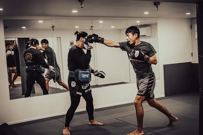 Panda Thai Boxing (Muay Thai, Kickboxing, MMA, Self-Defense) Picture 5
