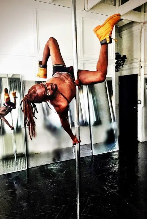 Alter Ego Pole Fitness and Wellness Studio Picture 7