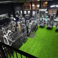 Body Sculptors ico