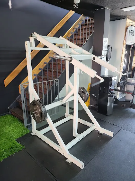 Body Sculptors Picture 10