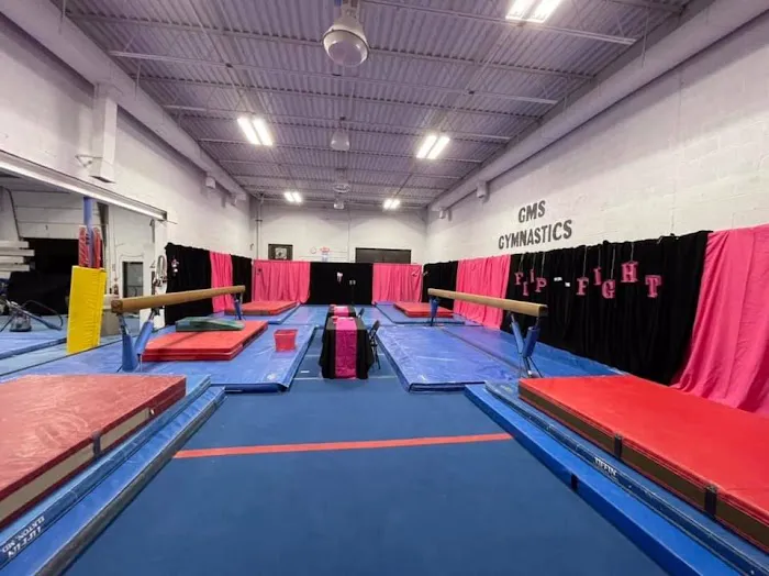 GMS Gymnastics Picture 4