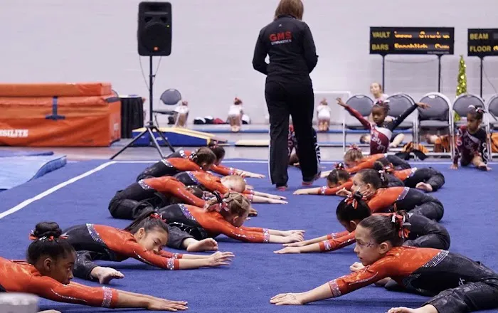 GMS Gymnastics Picture 8
