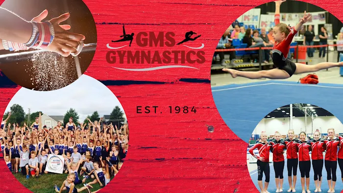 GMS Gymnastics Picture 10