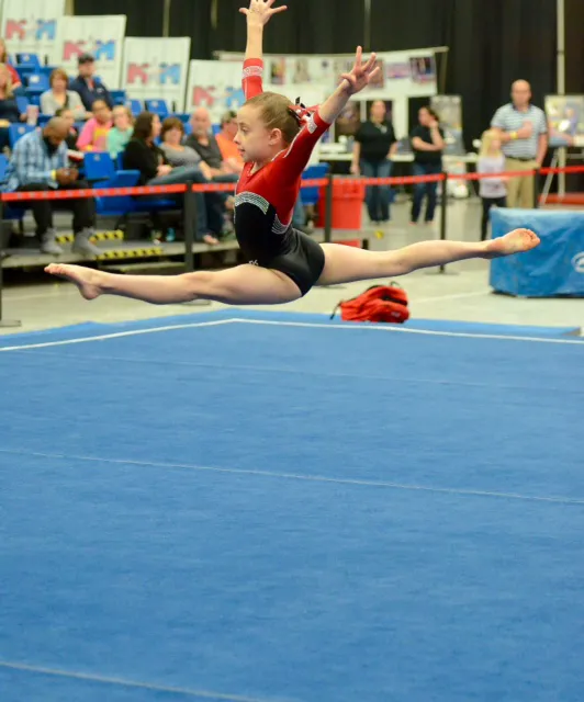 GMS Gymnastics Picture 5