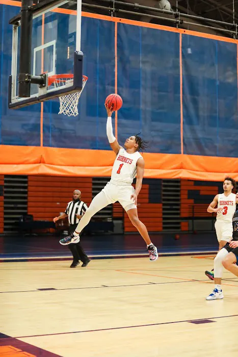 Hornets Sports Center Picture 4