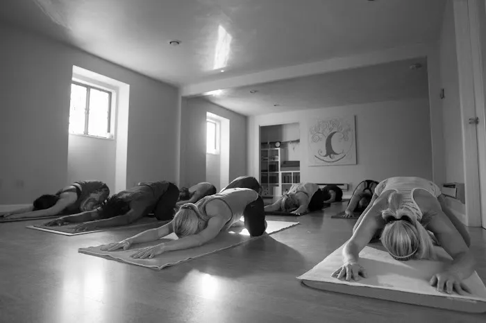 Homegrown Yoga Picture 1