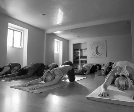Homegrown Yoga