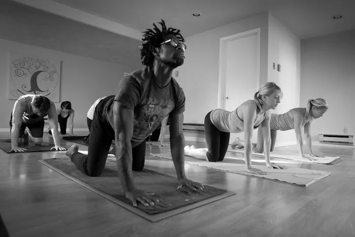 Homegrown Yoga Picture 2