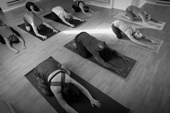 Homegrown Yoga Picture 8