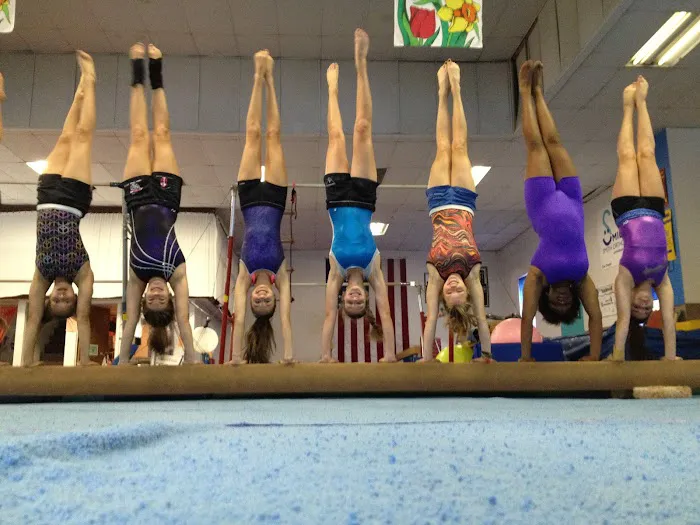 Aspinwall Gymnastic Center Picture 2