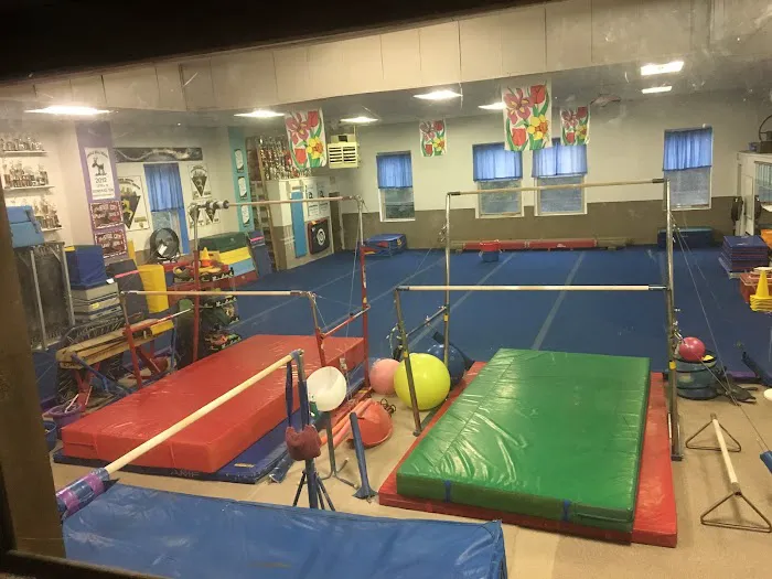 Aspinwall Gymnastic Center Picture 4