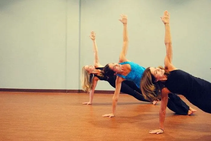 Stray Dog Yoga Studio Picture 1