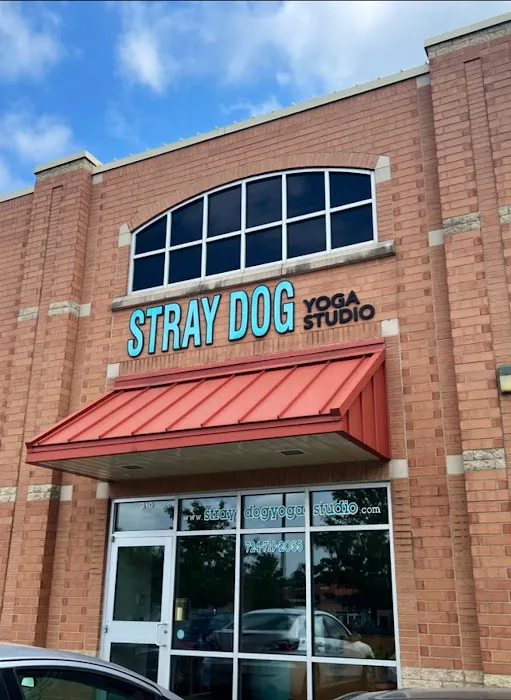 Stray Dog Yoga Studio Picture 3
