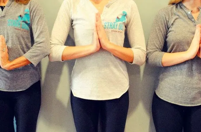Stray Dog Yoga Studio Picture 4