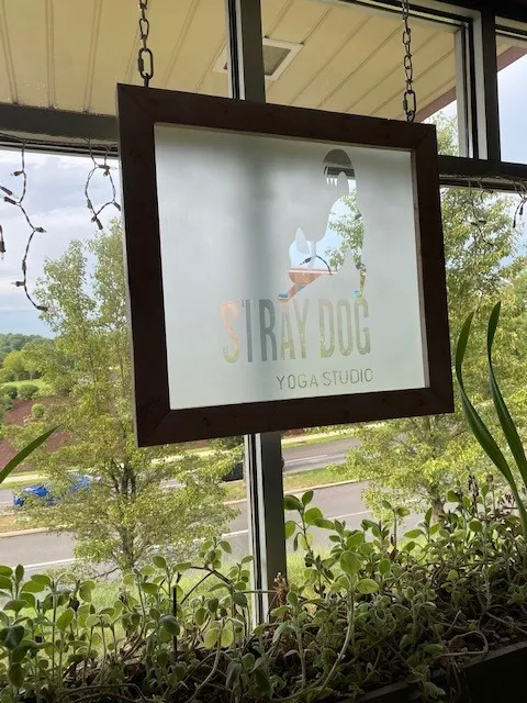 Stray Dog Yoga Studio Picture 8