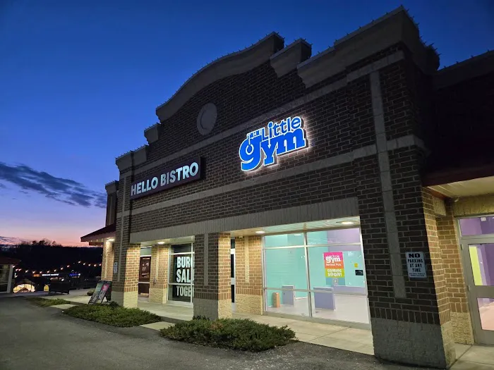 The Little Gym of Pittsburgh - North Hills, PA Picture 1
