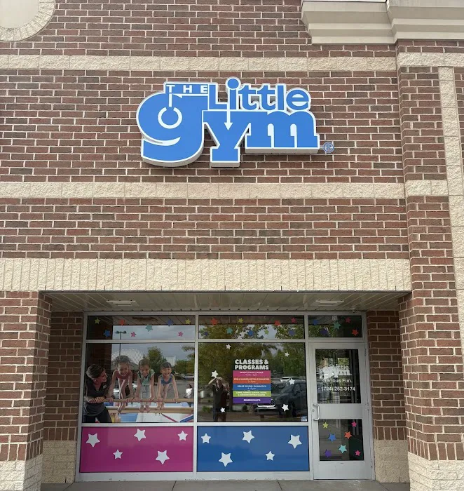 The Little Gym of Pittsburgh - North Hills, PA Picture 5