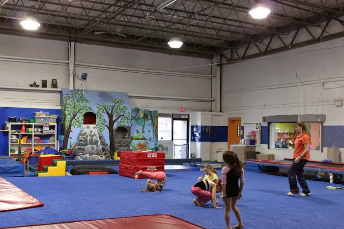 X-Cel Gymnastics Picture 5