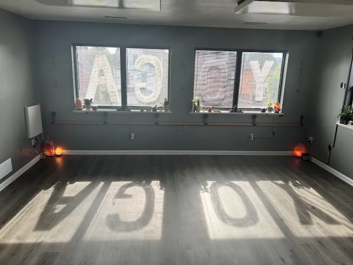 Steel City Yoga & Barre Picture 9