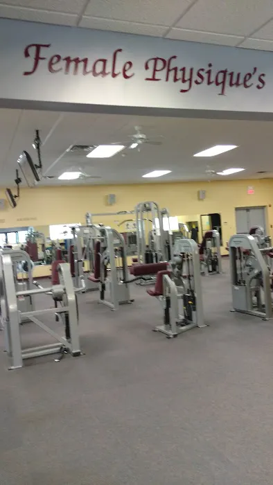 Female Physique's Picture 1