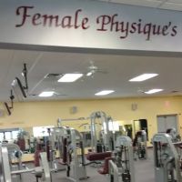 Female Physique's ico