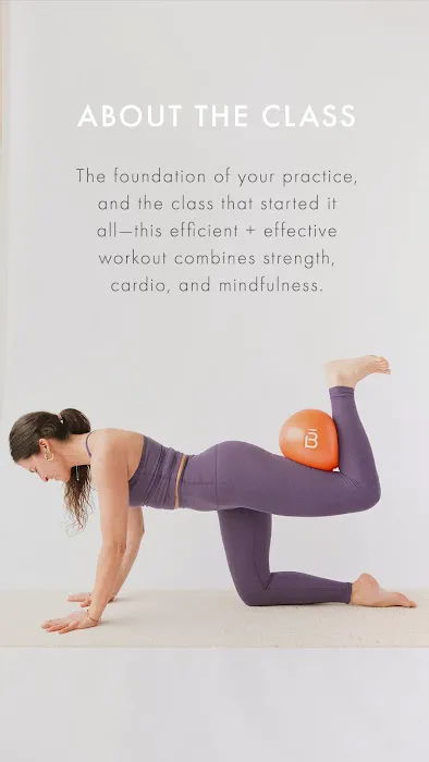 barre3 Picture 6