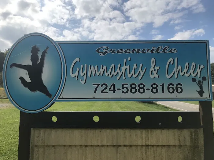 Greenville Gymnastics Academy & Cheer Picture 1