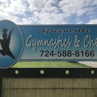 Greenville Gymnastics Academy & Cheer ico