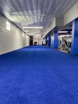 Molinaro Health & Functional Training Center, LLC Picture 8