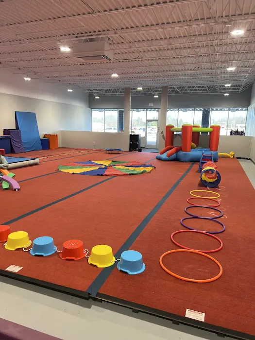 Leaps & Bounds Gymnastics Company Picture 1