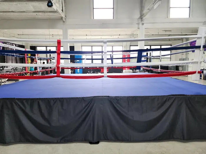 Roxamore Sports Boxing Arena & Fitness Picture 7