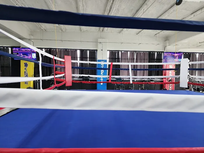 Roxamore Sports Boxing Arena & Fitness Picture 10