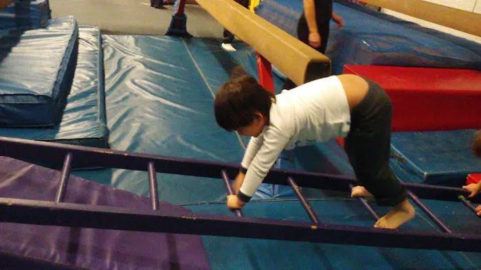Gymkhana Inc Picture 4