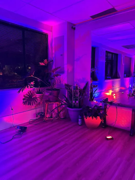 Sterling Yoga and Wellness Picture 2