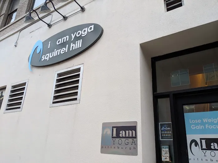 Yoga Factory Pittsburgh - Squirrel Hill Picture 10