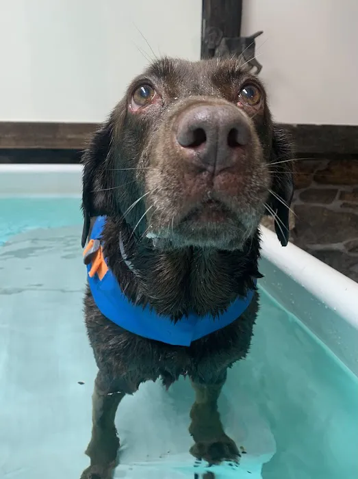 True Balance Animal Wellness & The Canine Aquatic Gym Picture 1