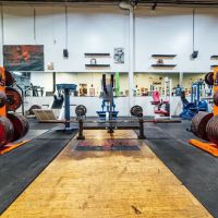 Hercules Gym ico