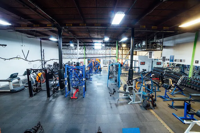 Hercules Gym Picture 5