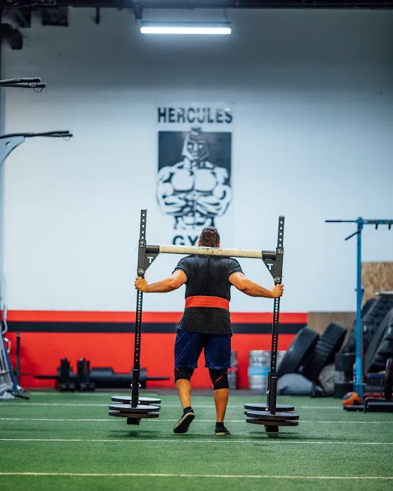 Hercules Gym Picture 7