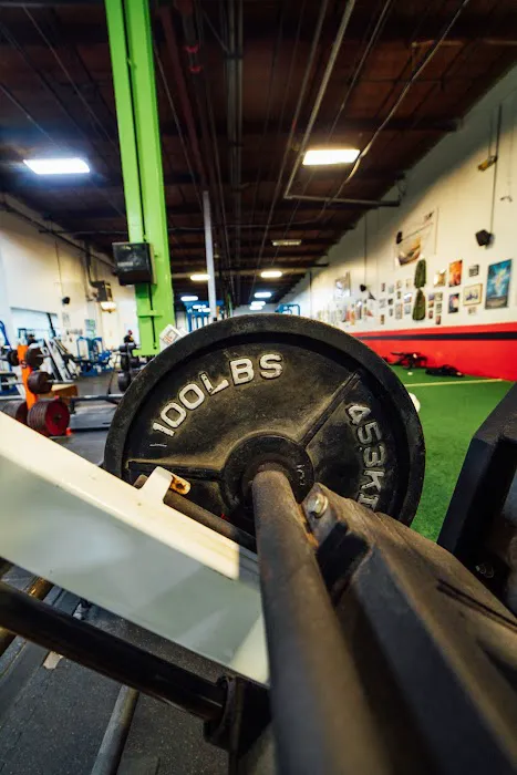 Hercules Gym Picture 6