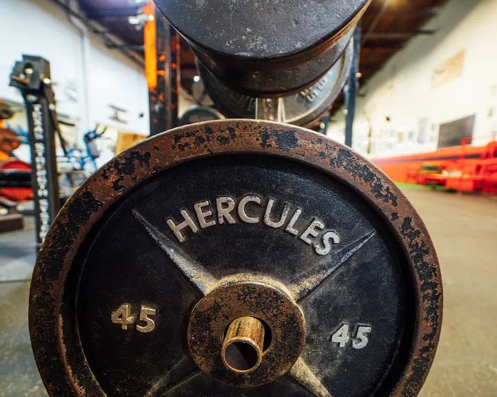 Hercules Gym Picture 9