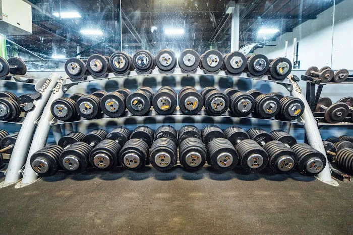 Hercules Gym Picture 8