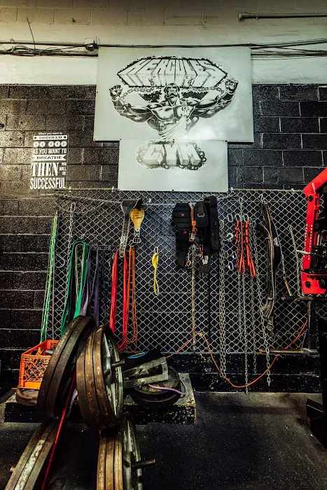 Hercules Gym Picture 10