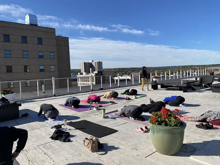 The Syracuse Yoga Collective Picture 5