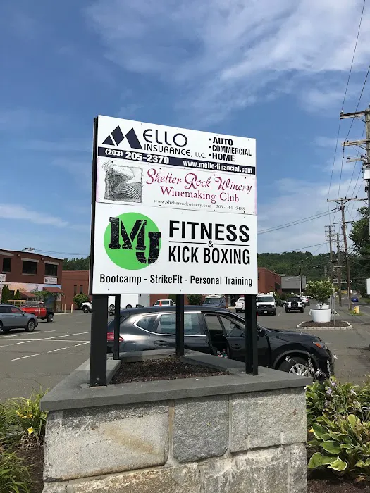 MJ Fitness & Kickboxing Picture 6