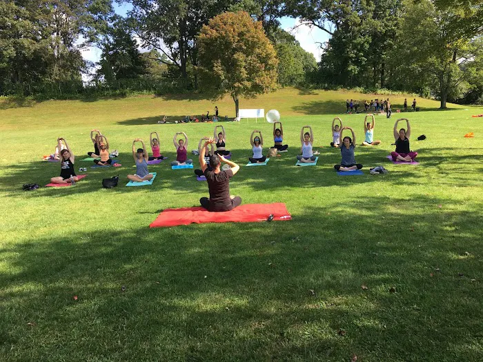 Basil Yoga Center Picture 5